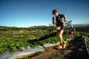 BIB: 1610
                            <button type="button" onclick="openModal(19113280)" class="btn btn-primary btn-sm float-right btn-popup" data-toggle="modal" data-target=".modal-high-quality">
                        <i class="fas fa-shopping-cart"></i> Add to Cart
                    </button>
                                            <button type="button" onclick="isThisMe(19113280, true)" class="btn btn-success btn-sm float-right btn-popup btn-isme hidden" data-toggle="tooltip" data-placement="bottom" title="นี่คือรูปของคุณใช่ไหม คลิกที่นี่เพื่อเอาเข้าอัลบั้ม">
                        <i class="fas fa-plus"></i> Add to album
                    </button>
                    <button type="button" onclick="isThisMe(19113280, false)" class="btn btn-warning btn-sm float-right btn-popup btn-isnotme hidden">
                        <i class="fas fa-ban"></i> Remove from album
                    </button>